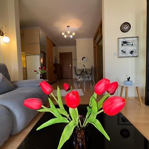 Appartement met een Slaapkamer